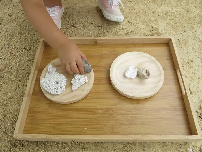 Bandeja de madera con piezas naturales para explorar