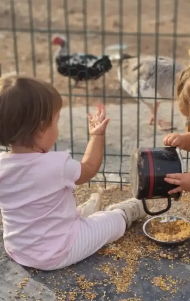 Una peque saluda a las gallinas mientras otro echa el grano