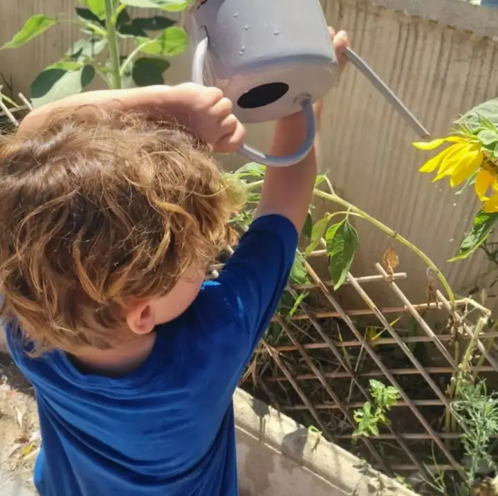 Un peque riega un girasol